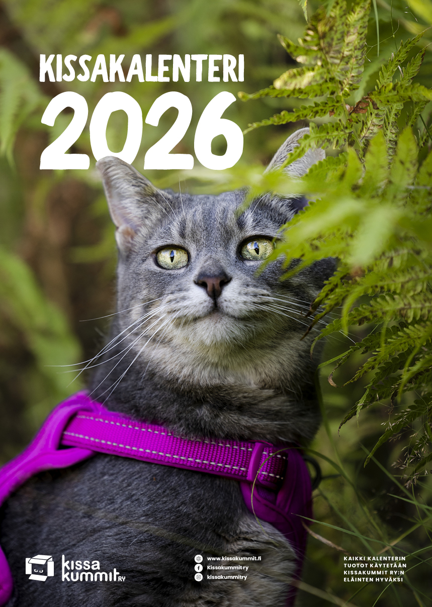Kissakalenteri 2026